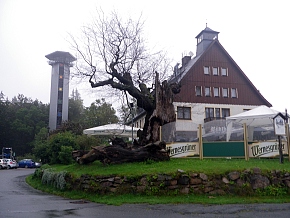 Eibenstock
